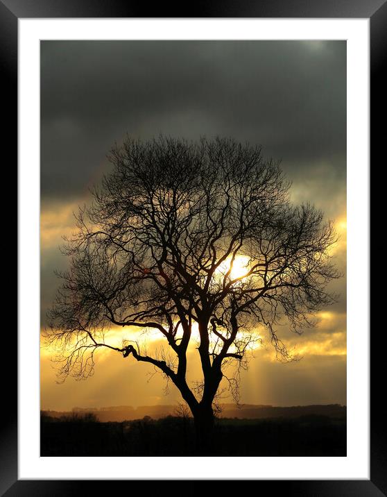 Sunlight through the clouds Framed Mounted Print by Simon Johnson