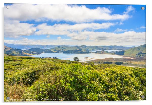View of the Otago Peninsular Acrylic by Kevin Hellon