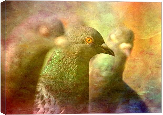 Pigeon Impressions Canvas Print by Sandra Pledger