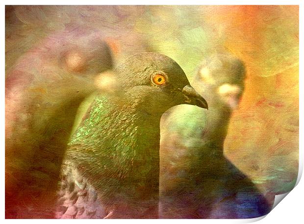 Pigeon Impressions Print by Sandra Pledger