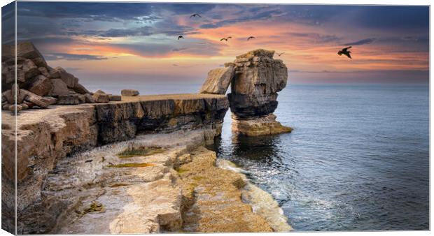 Pulpit Rock at Portland Bill _ Dorset Canvas Print by Dave Williams