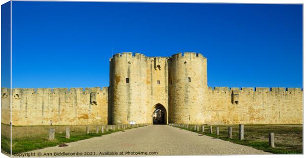 Wall of the Medieval town of Aigues Mortes Canvas Print by Ann Biddlecombe
