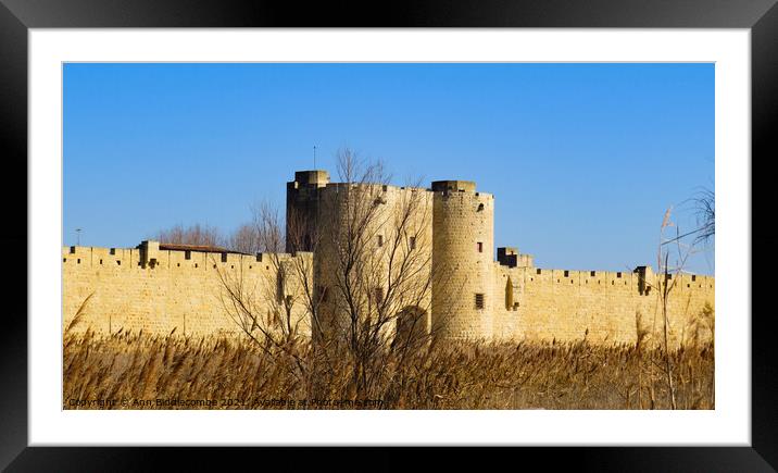 Fortress surrounds the medieval town of Aigues Mor Framed Mounted Print by Ann Biddlecombe
