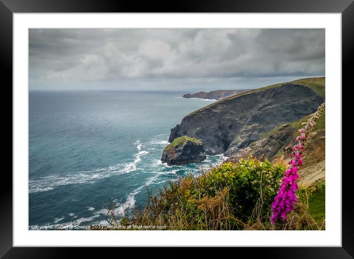 Cornish Coastline  Framed Mounted Print by David Spence