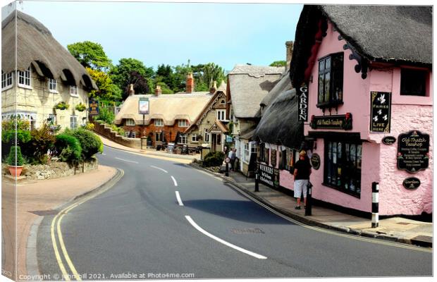Old Shanklin on the Isle of Wight, UK. Canvas Print by john hill