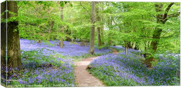 Native Bluebells in Ancient Woodlands Canvas Print by Diana Mower