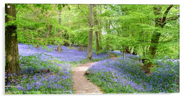Native Bluebells in Ancient Woodlands Acrylic by Diana Mower