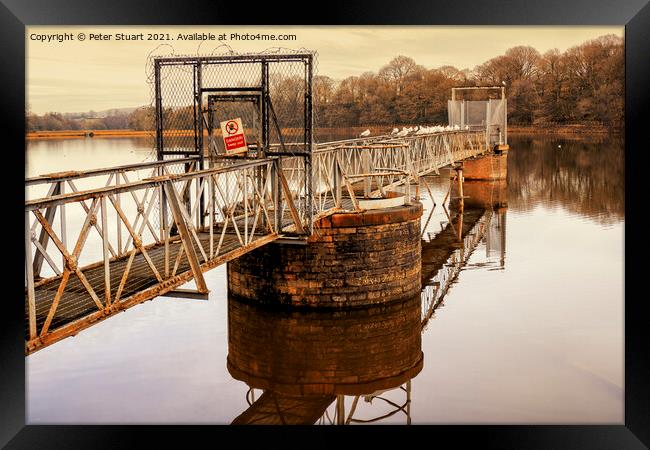 Worthington Lakes, Wigan, greater Manchester Framed Print by Peter Stuart