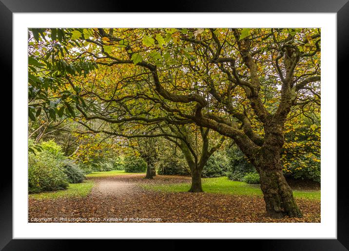 Wavertree Botanic Garden Liverpool  Framed Mounted Print by Phil Longfoot