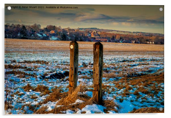 Winter walking at Longshaw near Billinge Acrylic by Peter Stuart