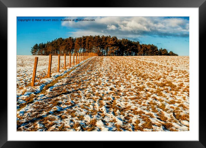 Field and trees and snow and blue sky Framed Mounted Print by Peter Stuart
