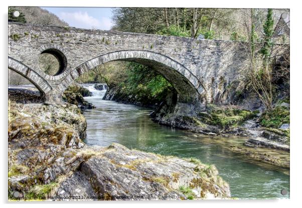 Cenarth Falls and Bridge, Pembrokeshire, Wales Acrylic by Ian Homewood