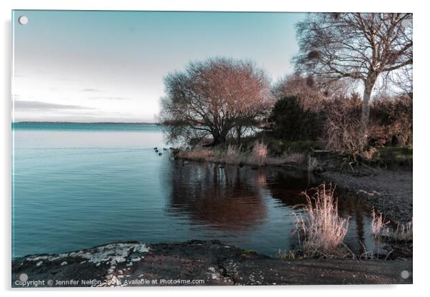 Morning Light at Oxford Island Nature Reserve Acrylic by Jennifer Nelson