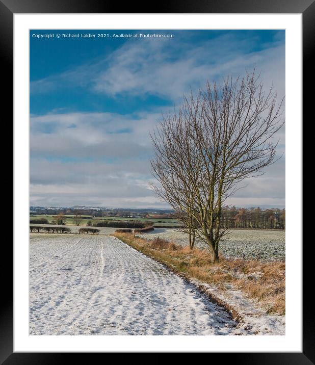 Winter Farmland, Lower Teesdale Framed Mounted Print by Richard Laidler