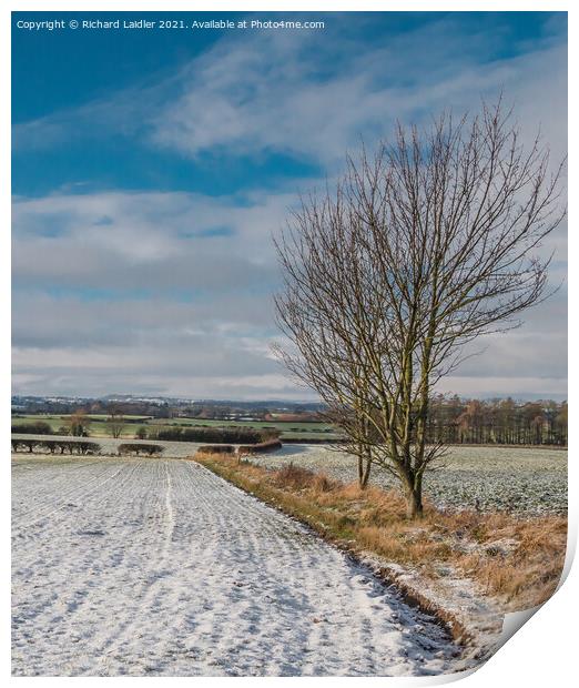 Winter Farmland, Lower Teesdale Print by Richard Laidler