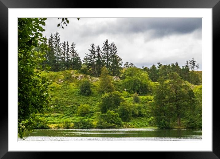 Tarn Hows Cumbria  Framed Mounted Print by Phil Longfoot