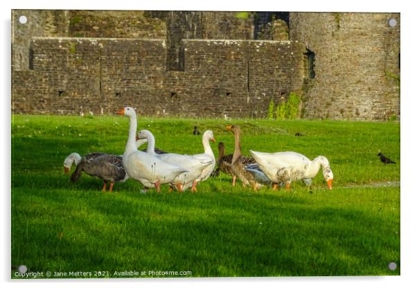 Geese in front of Caerphilly Castle  Acrylic by Jane Metters