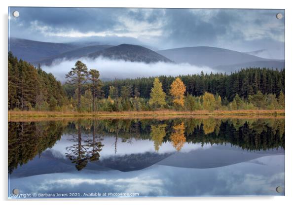 Glen Feshie Lochan Uamh Mists Cairngorms  Scotland Acrylic by Barbara Jones