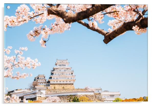 Himeji castle with cherry blossoms Acrylic by Sanga Park