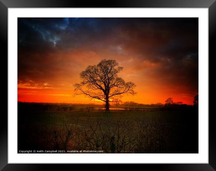Single Tree at Dusk Framed Mounted Print by Keith Campbell