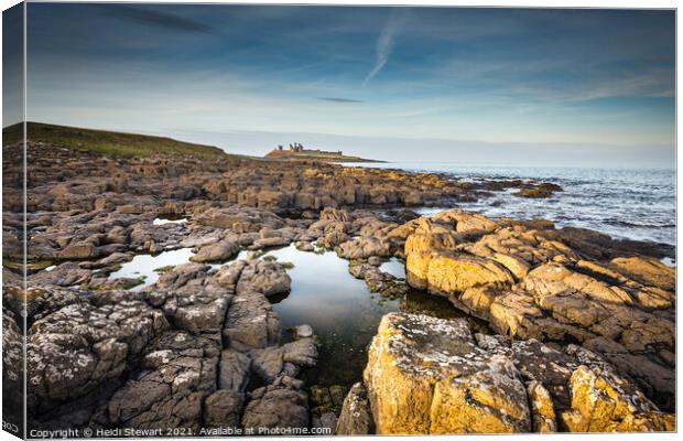 Dunstanburgh Castle and Northumberland Coast Canvas Print by Heidi Stewart