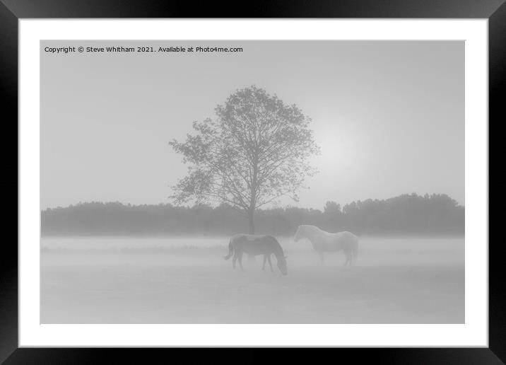 Let's meet by the tree. Framed Mounted Print by Steve Whitham
