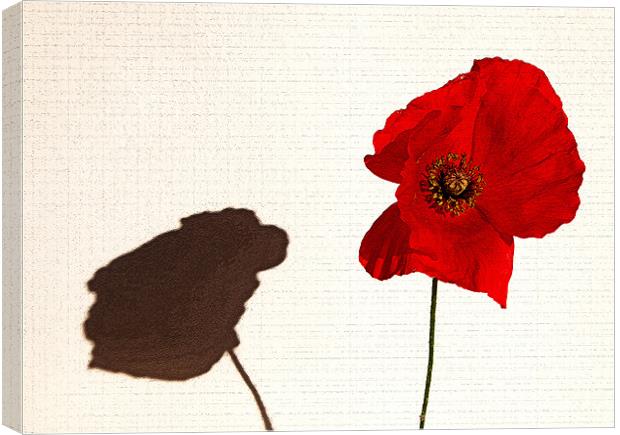 Remembrance Day Tribute Canvas Print by Mike Gorton