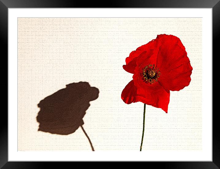 Remembrance Day Tribute Framed Mounted Print by Mike Gorton