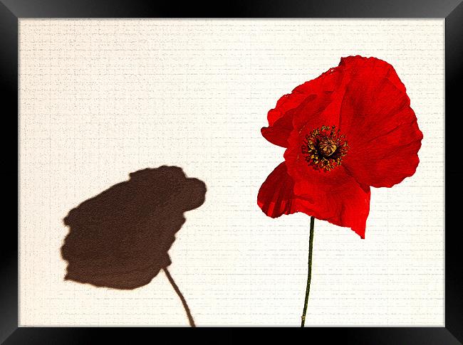 Remembrance Day Tribute Framed Print by Mike Gorton