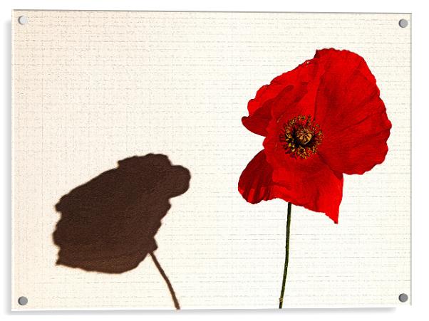 Remembrance Day Tribute Acrylic by Mike Gorton