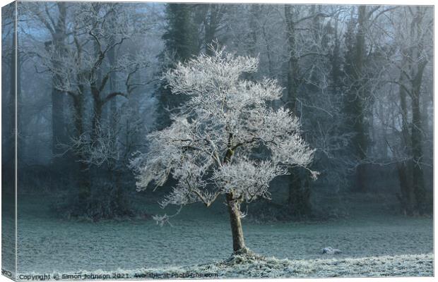 Sunlit tree with winter hoar frost  Canvas Print by Simon Johnson