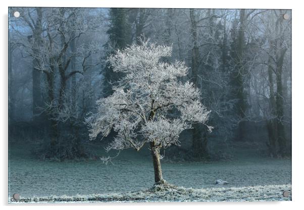 Sunlit tree with winter hoar frost  Acrylic by Simon Johnson