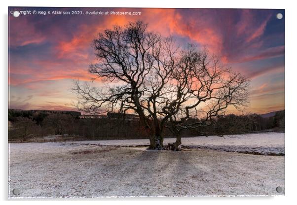 Derwent Sunset Acrylic by Reg K Atkinson