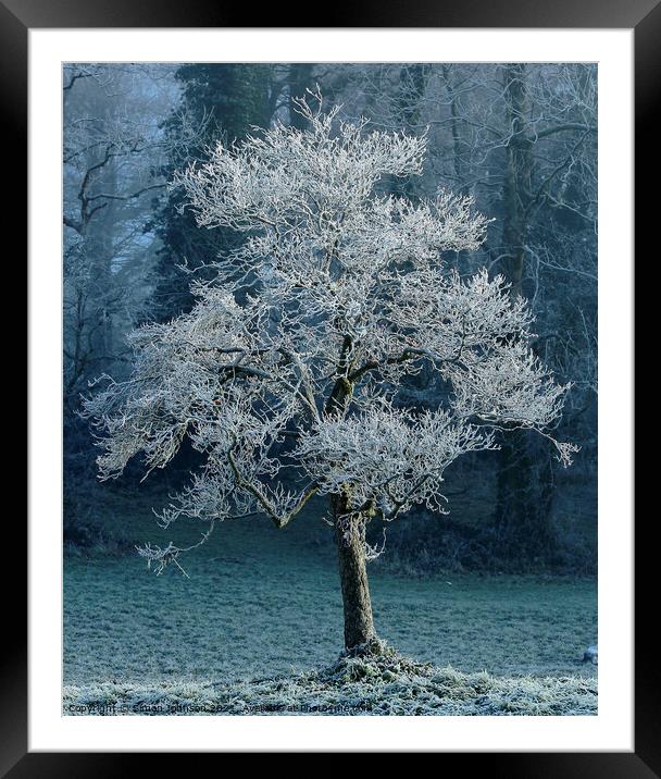 Tree with hoar frost Framed Mounted Print by Simon Johnson
