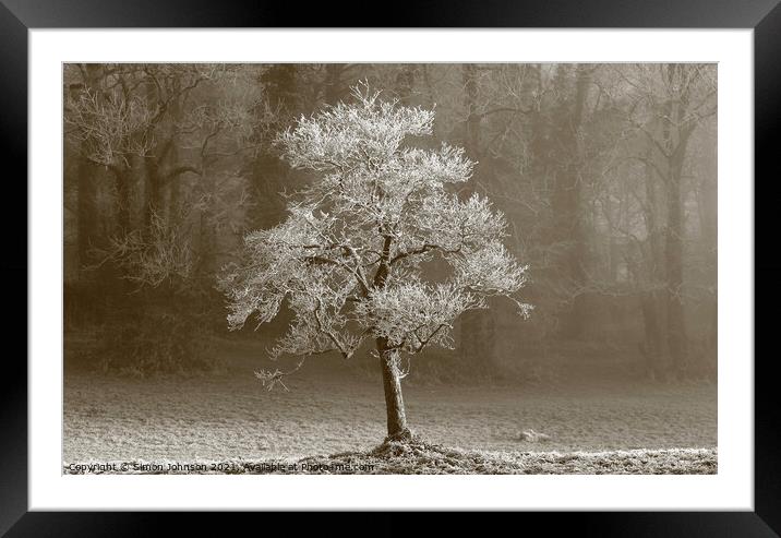 Winter tree Hoar frost Framed Mounted Print by Simon Johnson