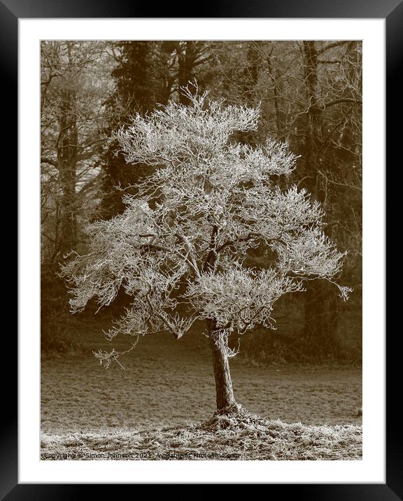 Frosted winter tree Framed Mounted Print by Simon Johnson