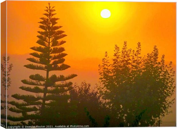 Mystic Sunrise Norfolk Pines Chromatic Hues Canvas Print by Deanne Flouton