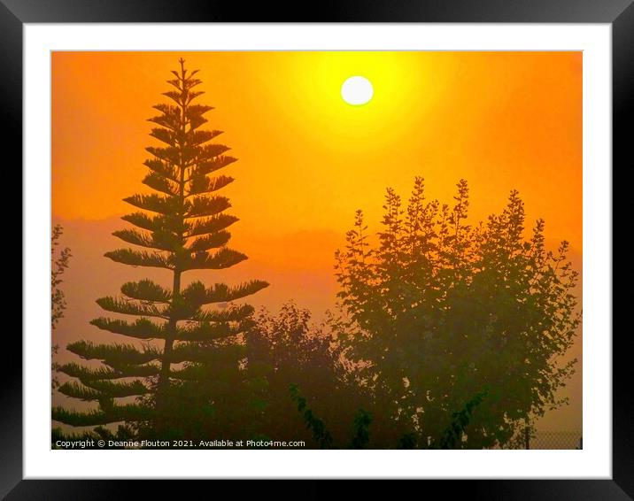 Mystic Sunrise Norfolk Pines Chromatic Hues Framed Mounted Print by Deanne Flouton