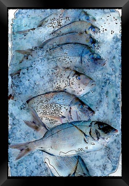 Fresh Catch on Ice Framed Print by Deanne Flouton