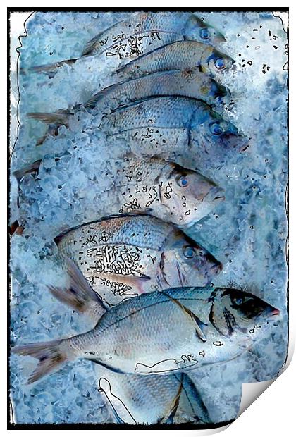 Fresh Catch on Ice Print by Deanne Flouton