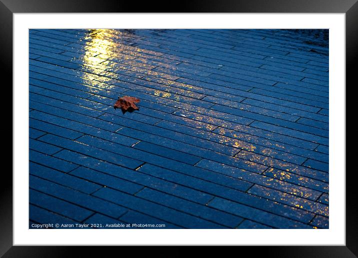 Leaf in the Limelight Framed Mounted Print by Aaron Taylor