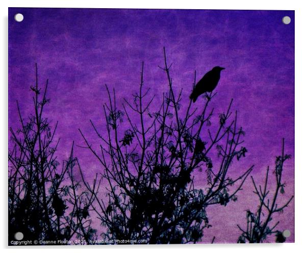  Raven Surveying Purple Sky Acrylic by Deanne Flouton
