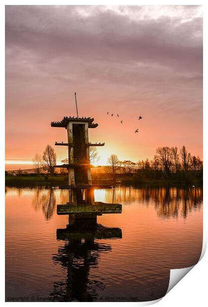 Sunrise over Art Deco Diving Board Print by Reidy's Photos