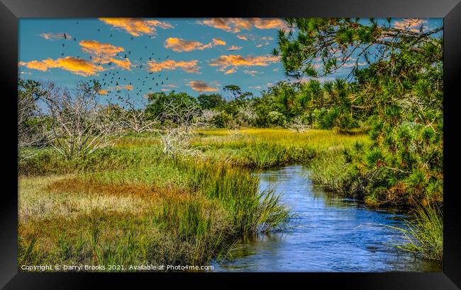 Flock Over Wetland Marsh Framed Print by Darryl Brooks