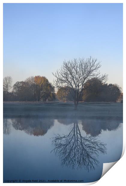 Misty Reflections Print by Reidy's Photos