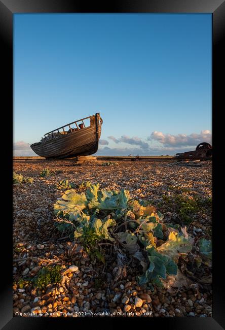 Yearning Framed Print by Aaron Taylor