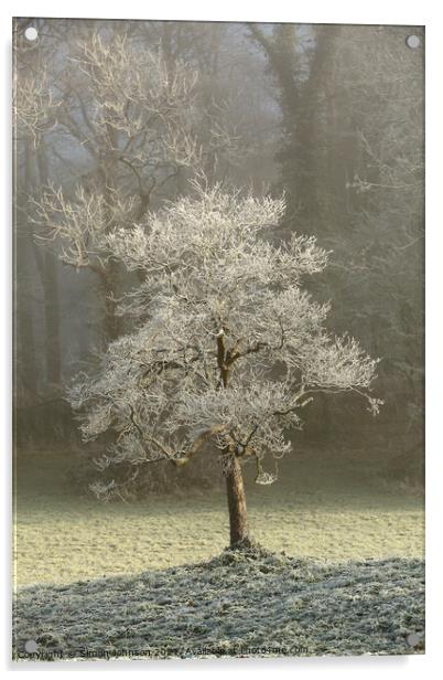 Winter tree Acrylic by Simon Johnson