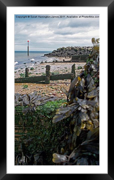 Reculver beach, Kent Framed Mounted Print by Sarah Harrington-James