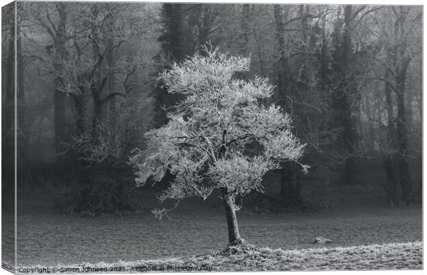 frosted tree Canvas Print by Simon Johnson
