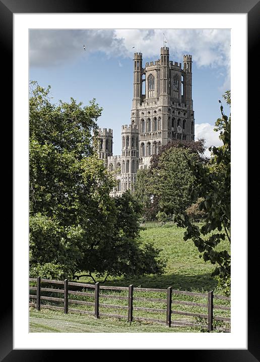 Ely Cathedral Framed Mounted Print by Ann Garrett